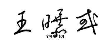 梁錦英王曝或草書個性簽名怎么寫