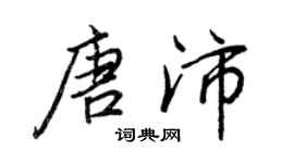 王正良唐沛行書個性簽名怎么寫