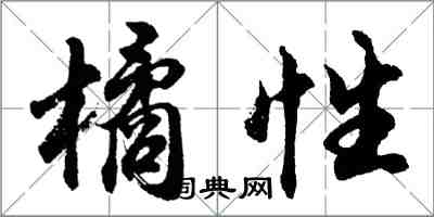 胡問遂橘性行書怎么寫