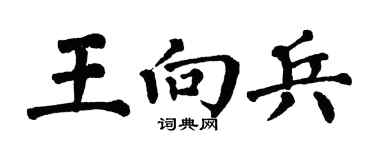翁闓運王向兵楷書個性簽名怎么寫