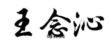 胡問遂王念沁行書個性簽名怎么寫