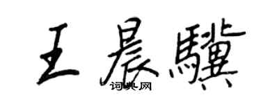 王正良王晨驥行書個性簽名怎么寫