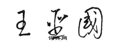 駱恆光王聖國草書個性簽名怎么寫