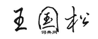 駱恆光王國松行書個性簽名怎么寫