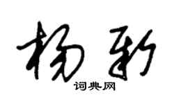 朱錫榮楊新草書個性簽名怎么寫