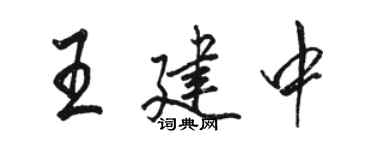 駱恆光王建中行書個性簽名怎么寫