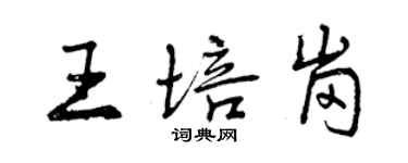 曾慶福王培崗行書個性簽名怎么寫