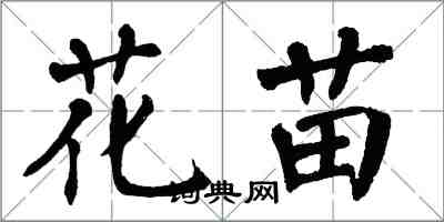 翁闓運花苗楷書怎么寫