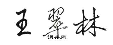 駱恆光王翠林行書個性簽名怎么寫