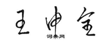 駱恆光王申全草書個性簽名怎么寫