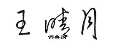 駱恆光王晴月草書個性簽名怎么寫