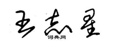 朱錫榮王志星草書個性簽名怎么寫