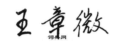 駱恆光王章微行書個性簽名怎么寫
