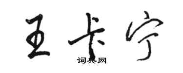 駱恆光王卡寧行書個性簽名怎么寫