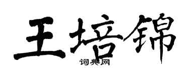 翁闓運王培錦楷書個性簽名怎么寫