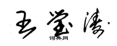 朱錫榮王瑩濤草書個性簽名怎么寫