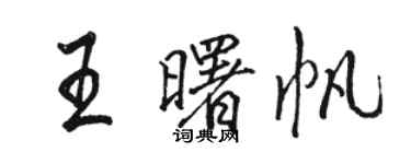 駱恆光王曙帆行書個性簽名怎么寫