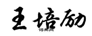 胡問遂王培勵行書個性簽名怎么寫