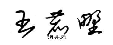 朱錫榮王鹿野草書個性簽名怎么寫