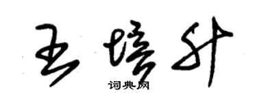 朱錫榮王培升草書個性簽名怎么寫