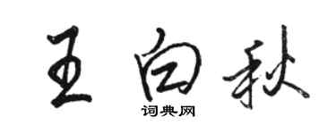 駱恆光王白秋行書個性簽名怎么寫