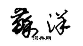 朱錫榮蘇洋草書個性簽名怎么寫