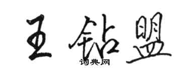 駱恆光王鑽盟行書個性簽名怎么寫
