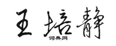 駱恆光王培靜行書個性簽名怎么寫