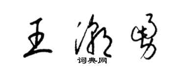 梁錦英王潮勇草書個性簽名怎么寫
