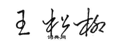 駱恆光王松柳草書個性簽名怎么寫