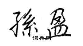 王正良孫盈行書個性簽名怎么寫