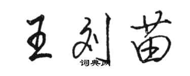 駱恆光王劉苗行書個性簽名怎么寫