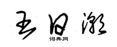 朱錫榮王日潮草書個性簽名怎么寫