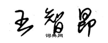 朱錫榮王智昂草書個性簽名怎么寫