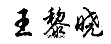胡問遂王黎曉行書個性簽名怎么寫