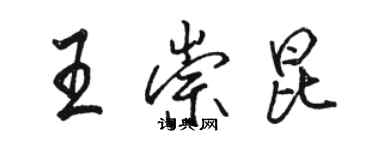 駱恆光王崇昆行書個性簽名怎么寫