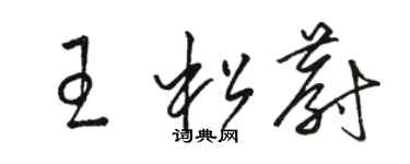 駱恆光王松蔚草書個性簽名怎么寫