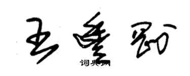 朱錫榮王豐剛草書個性簽名怎么寫