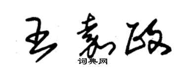 朱錫榮王嘉政草書個性簽名怎么寫