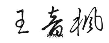 駱恆光王音楓草書個性簽名怎么寫