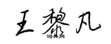 王正良王黎凡行書個性簽名怎么寫