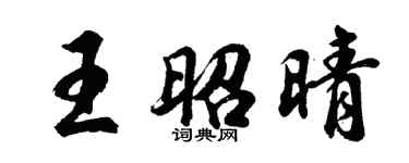 胡問遂王昭晴行書個性簽名怎么寫