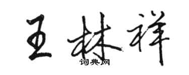 駱恆光王林祥行書個性簽名怎么寫