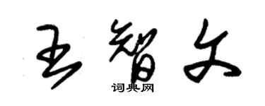 朱錫榮王智文草書個性簽名怎么寫
