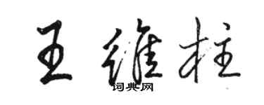 駱恆光王維柱行書個性簽名怎么寫
