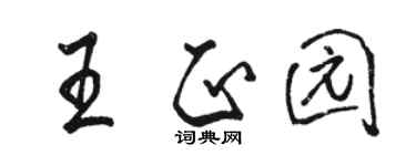 駱恆光王正園行書個性簽名怎么寫