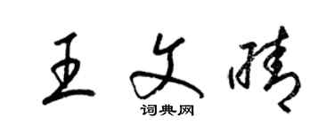 梁錦英王文晴草書個性簽名怎么寫