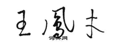 駱恆光王鳳才草書個性簽名怎么寫