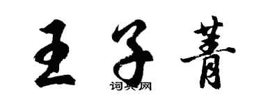 胡問遂王子菁行書個性簽名怎么寫