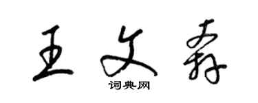 梁錦英王文奔草書個性簽名怎么寫